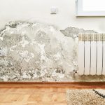 ¿Cómo reparar los paneles de yeso en su casa?