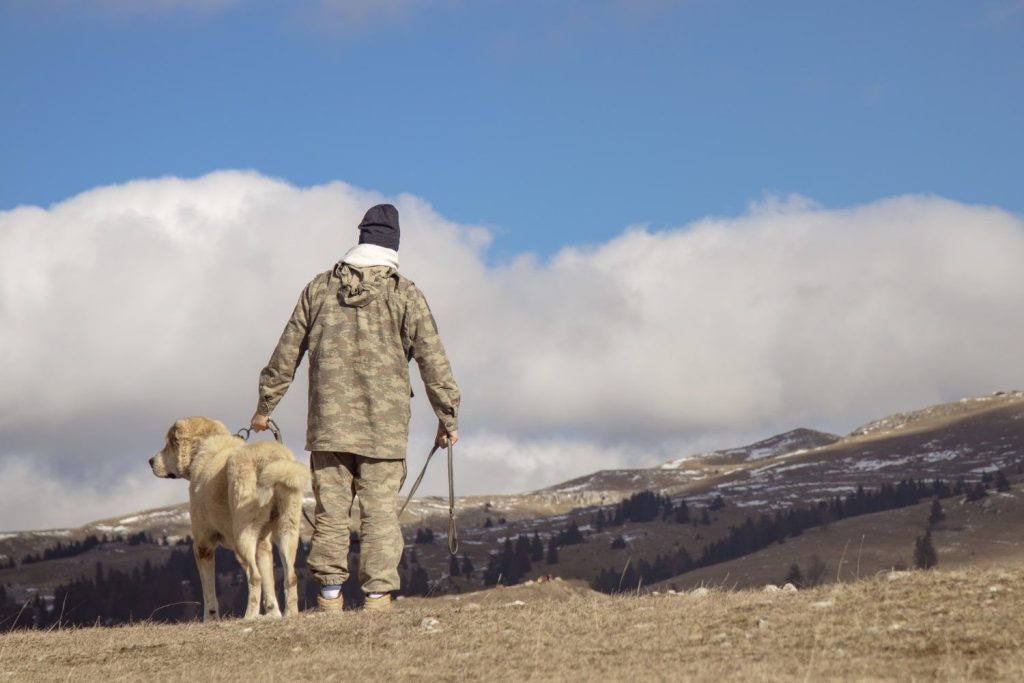 Pro Hunting Spain