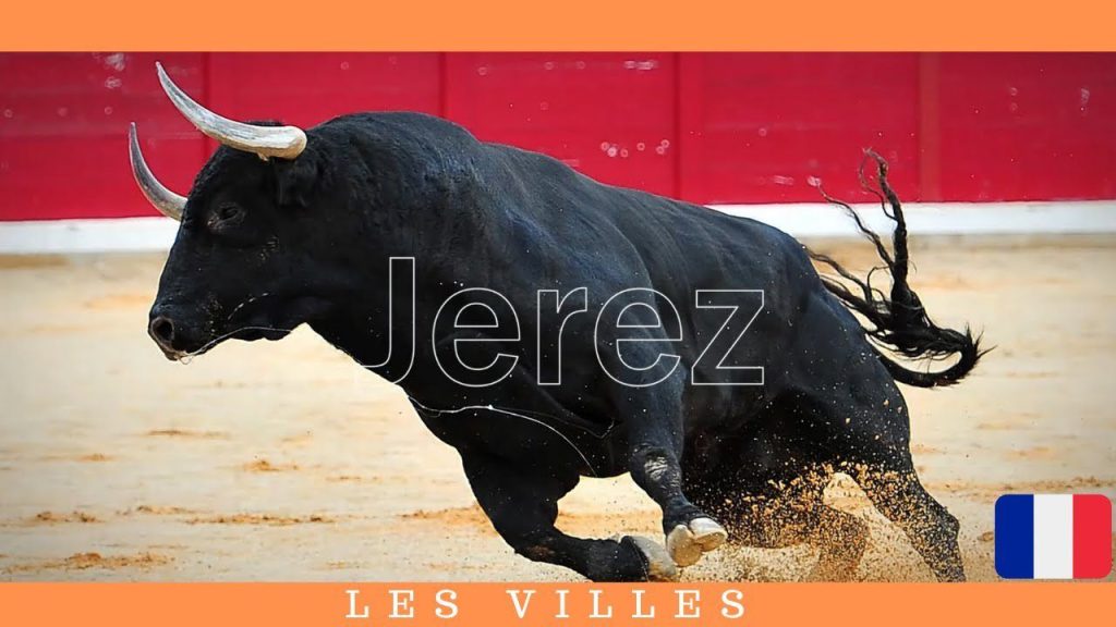 Toldos Jerez de la Frontera