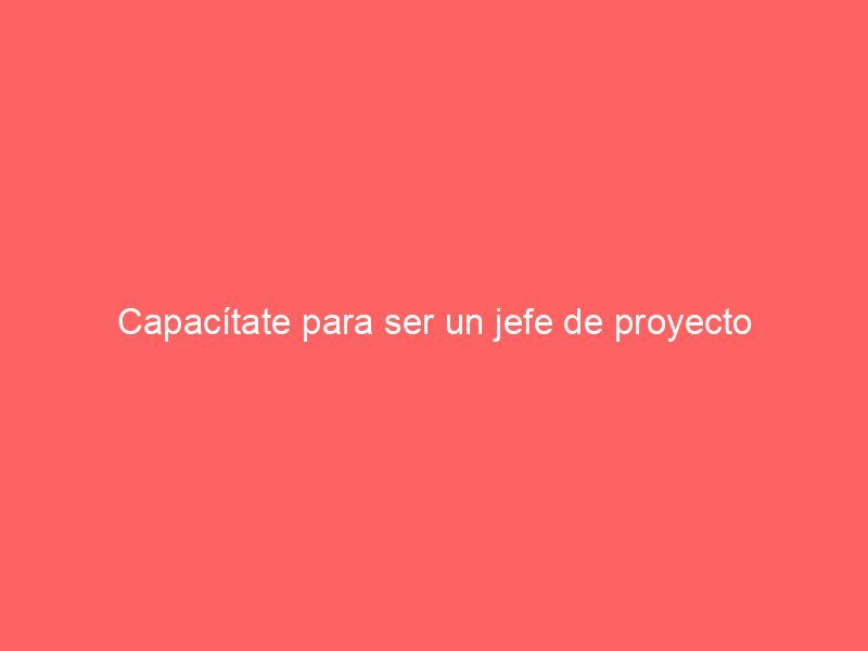 Capacítate para ser un jefe de proyecto