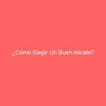 ¿Cómo Elegir Un Buen Alicate?