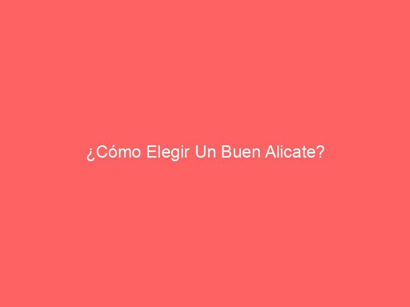 ¿Cómo Elegir Un Buen Alicate?