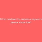 ¿Cómo mantener los insectos a raya en los paseos al aire libre?