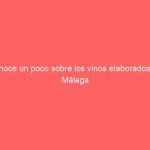 Conoce un poco sobre los vinos elaborados en Málaga