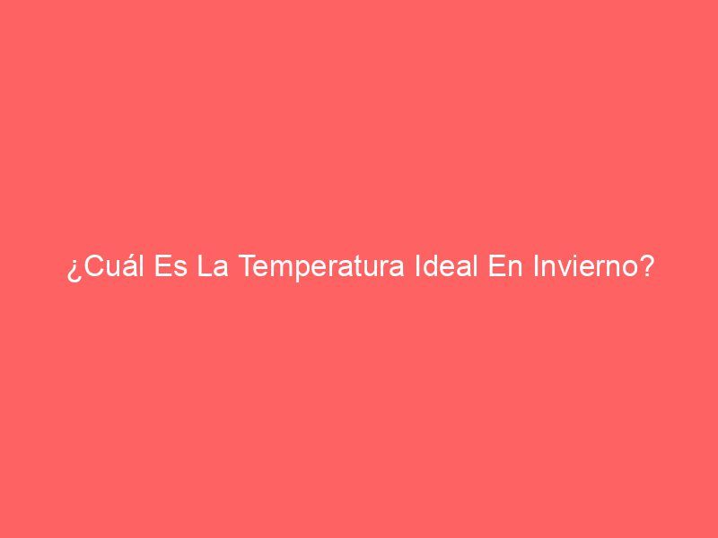 ¿Cuál Es La Temperatura Ideal En Invierno?