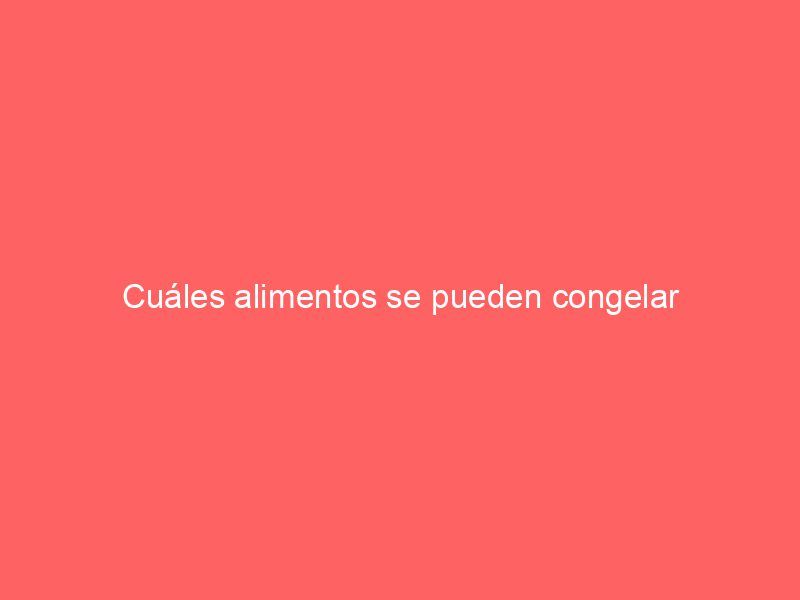 Cuáles alimentos se pueden congelar