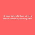 ¿Cuánto tiempo tarda en volver la menstruación después del parto?