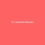 En naciente Bavaro