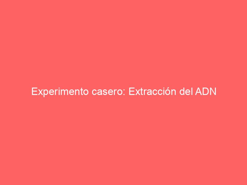 Experimento casero: Extracción del ADN