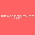 INSTRUMENTOS ORQUESTALES DE CUERDA