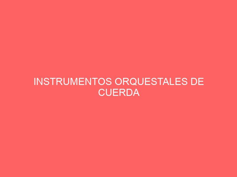 INSTRUMENTOS ORQUESTALES DE CUERDA
