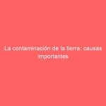 La contaminación de la tierra: causas importantes