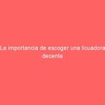 La importancia de escoger una licuadora decente