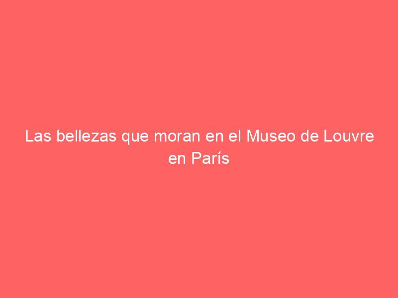 Las bellezas que moran en el Museo de Louvre en París