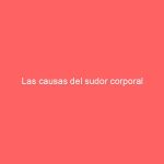Las causas del sudor corporal