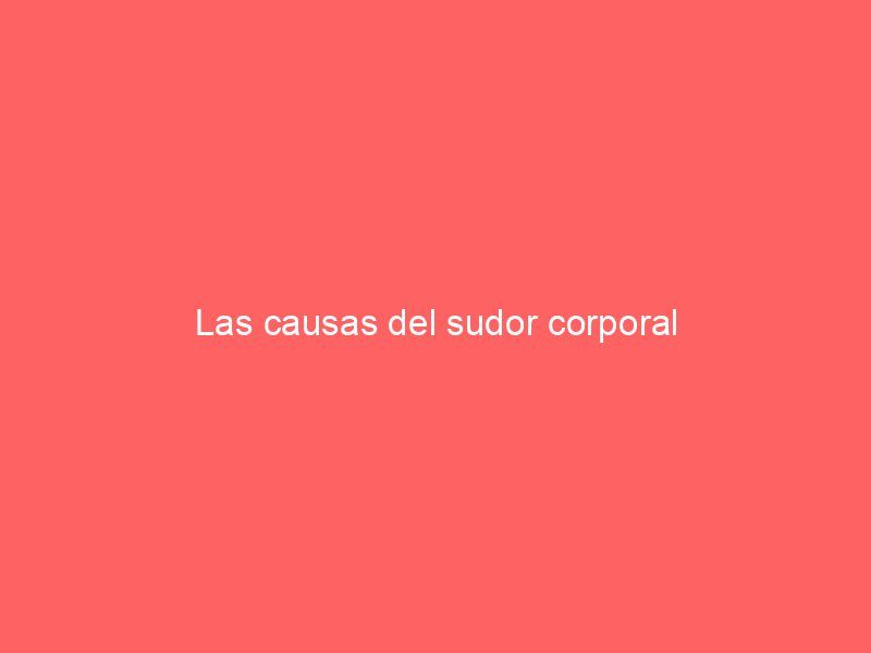 Las causas del sudor corporal