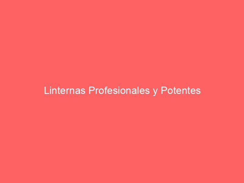 Linternas Profesionales y Potentes