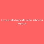 Lo que usted necesita saber sobre los seguros