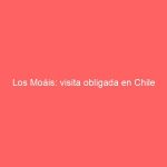Los Moáis: visita obligada en Chile