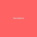 Neumaticos