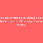 ¡No busques más!: La opción ideal para los días de campo es utilizar los generadores eléctricos