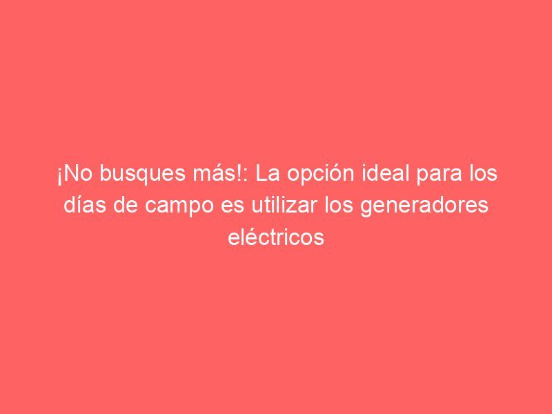 ¡No busques más!: La opción ideal para los días de campo es utilizar los generadores eléctricos