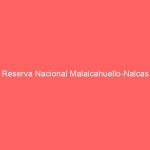Reserva Nacional Malalcahuello-Nalcas