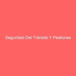 Seguridad Del Tránsito Y Peatones
