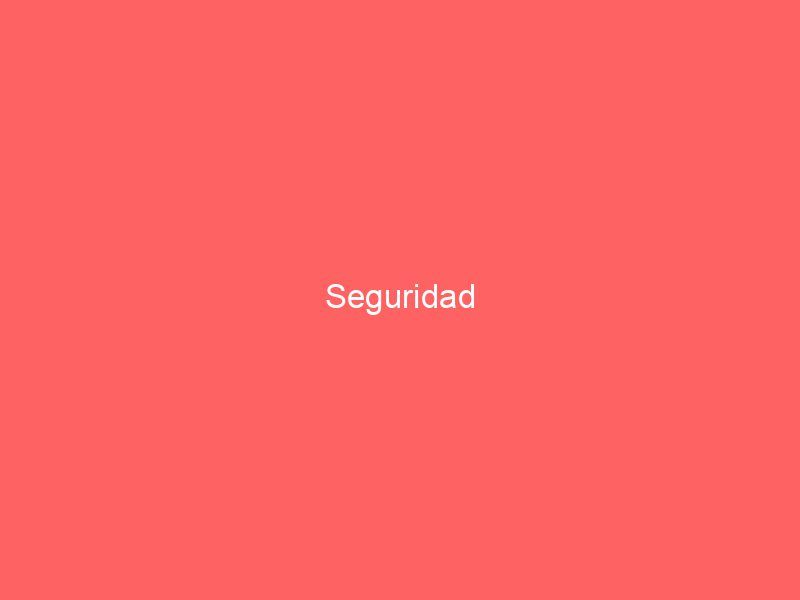 Seguridad