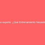 seo experto: ¿Qué Entrenamiento Necesito?