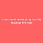 Superando la miopía de las redes de pequeñas empresas