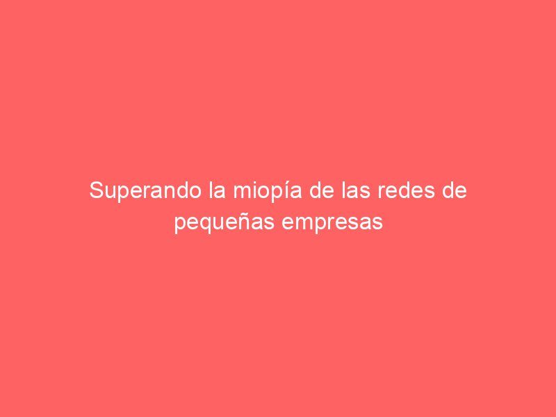 Superando la miopía de las redes de pequeñas empresas