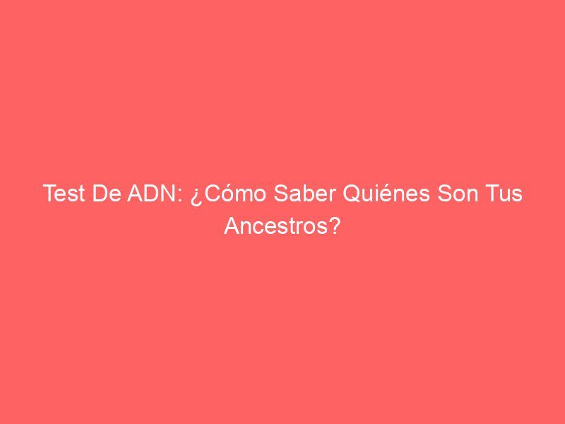 Test De ADN: ¿Cómo Saber Quiénes Son Tus Ancestros?