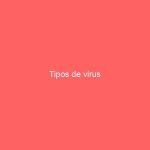 Tipos de virus