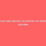 Trucos para decorar los jardines con plantas naturales