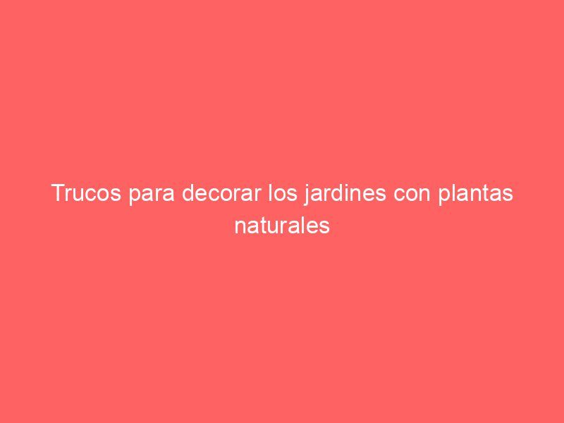 Trucos para decorar los jardines con plantas naturales