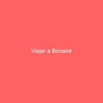 Viajar a Bonaire