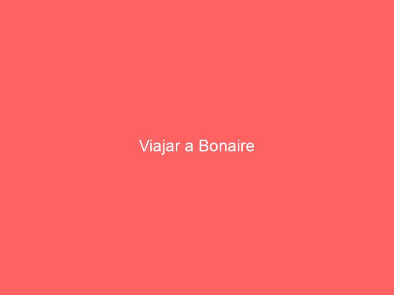 Viajar a Bonaire