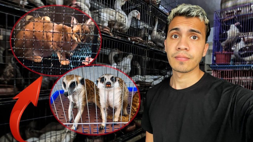 10 Estrategias Efectivas Para Vender Más Como Criador de Animales