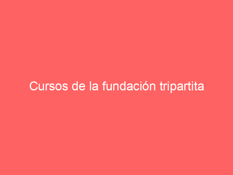 Cursos de la fundación tripartita