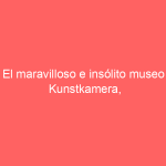 El maravilloso e insólito museo Kunstkamera, Rusia