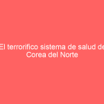 El terrorifico sistema de salud de Corea del Norte