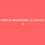 Si falta la electricidad, tu comida va a encontrarse cuidada con los generadores eléctricos