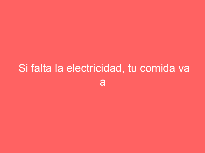 Si falta la electricidad, tu comida va a encontrarse cuidada con los generadores eléctricos